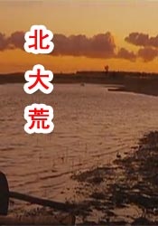 学长边上我边写作业